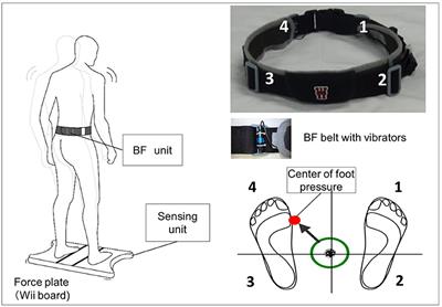 Balance Training With a Vibrotactile Biofeedback System Affects the Dynamical Structure of the Center of Pressure Trajectories in Chronic Stroke Patients